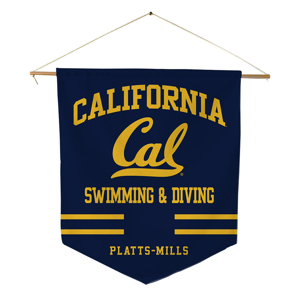 UC Berkeley - NCAA Men's Swimming & Diving : Ian Platts-Mills - Pennant - 18" x 21"-0