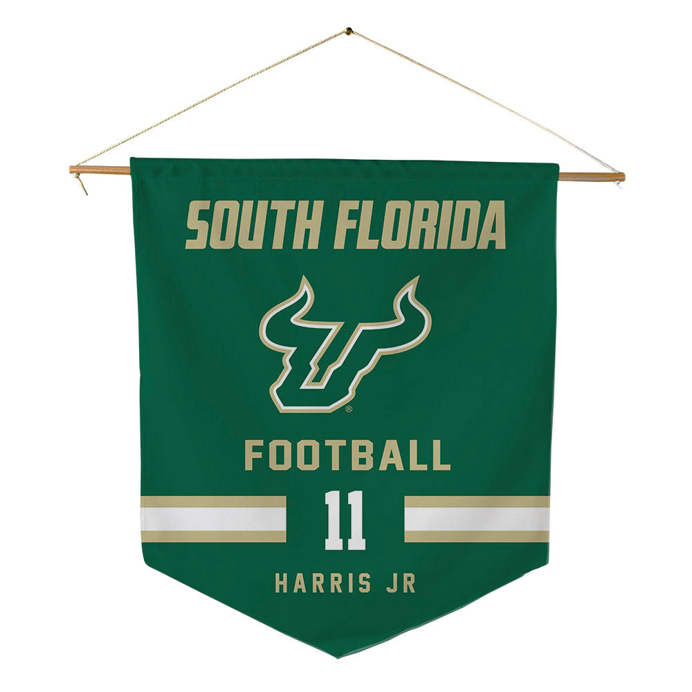 USF - NCAA Football : Derrick Harris Jr - Pennant - 18" x 21"-0