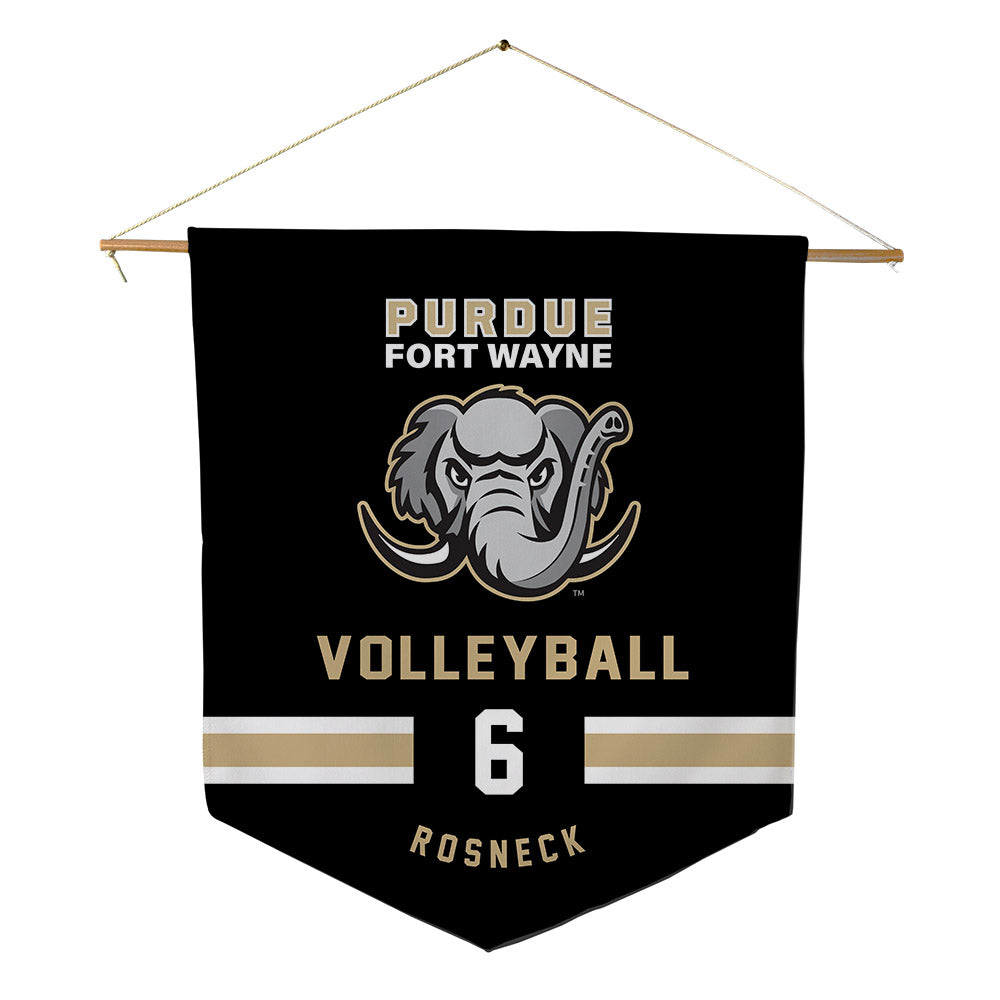 PFW - NCAA Women's Volleyball : Riley Rosneck - Pennant - 18" x 21"-0