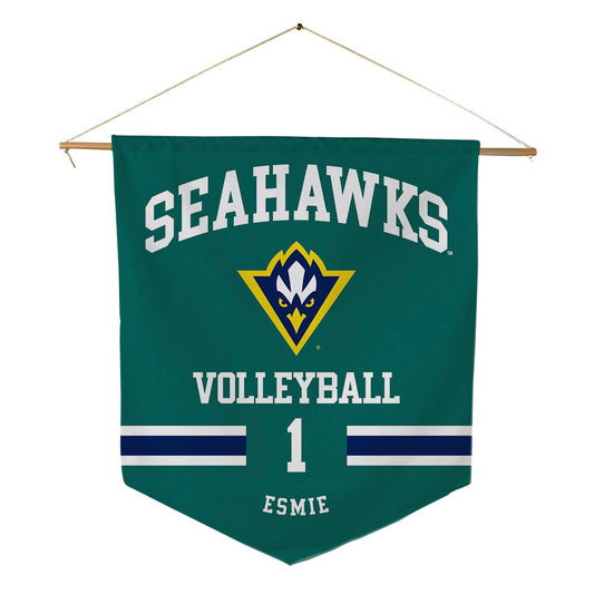 UNC Wilmington - NCAA Women's Volleyball : David Esmie - Pennant - 18" x 21"-0