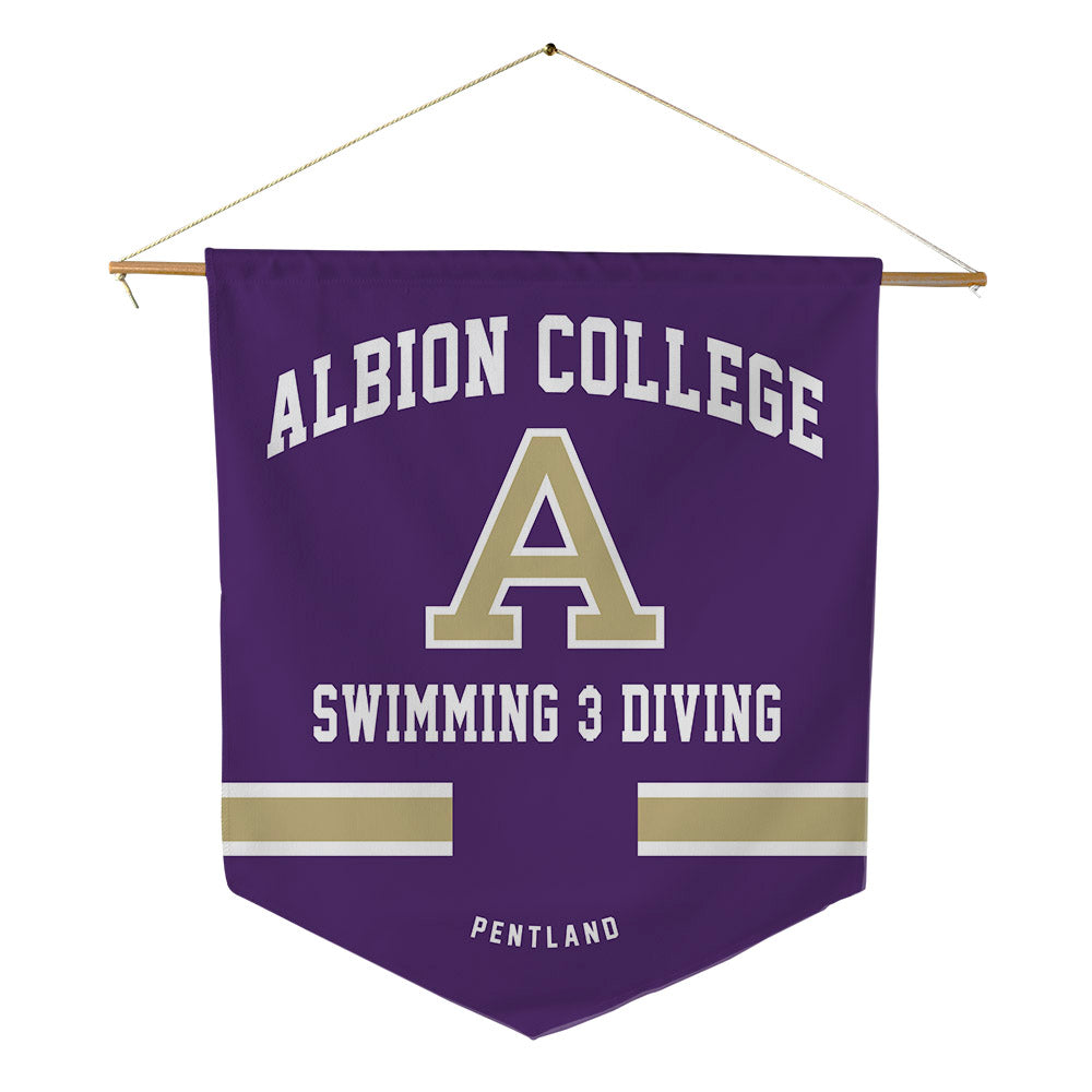 Albion - NCAA Men's Swimming & Diving : Will Pentland - Pennant - 18" x 21"-0