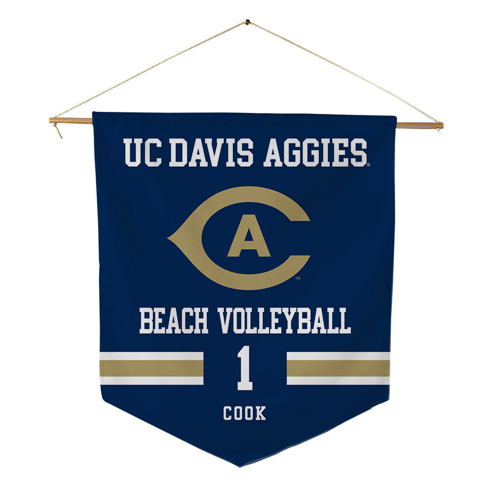 UC Davis - NCAA Beach Volleyball : Reagan Cook - Pennant - 18" x 21"-0