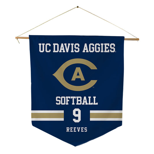 UC Davis - NCAA Softball : Rylee Reeves - Pennant - 18" x 21"-0