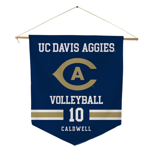 UC Davis - NCAA Women's Volleyball : Allie Caldwell - Pennant - 18" x 21"-0