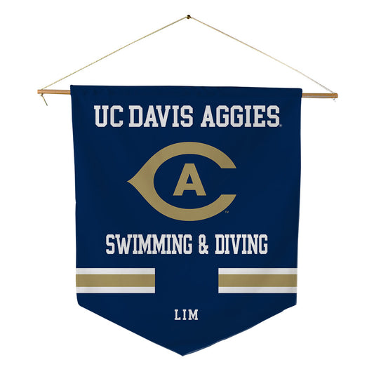 UC Davis - NCAA Women's Swimming & Diving : Katherine Lim - Pennant - 18" x 21"-0