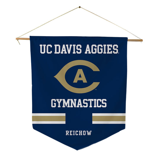 UC Davis - NCAA Women's Gymnastics : Avah Reichow - Pennant - 18" x 21"-0