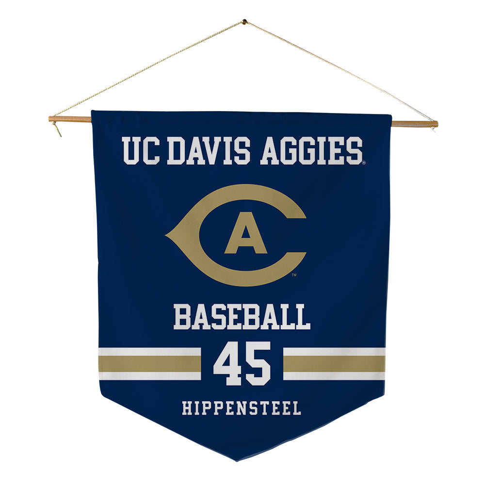 UC Davis - NCAA Baseball : Max Hippensteel - Pennant - 18" x 21"-0