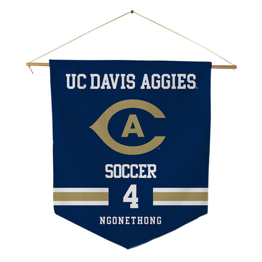 UC Davis - NCAA Men's Soccer : Ian Ngonethong - Pennant - 18" x 21"-0
