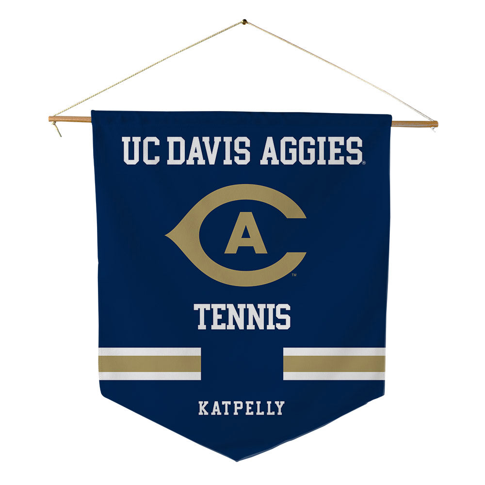 UC Davis - NCAA Men's Tennis : Rithvik Katpelly - Pennant - 18" x 21"-0