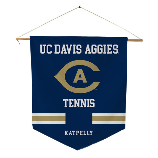UC Davis - NCAA Men's Tennis : Rithvik Katpelly - Pennant - 18" x 21"-0