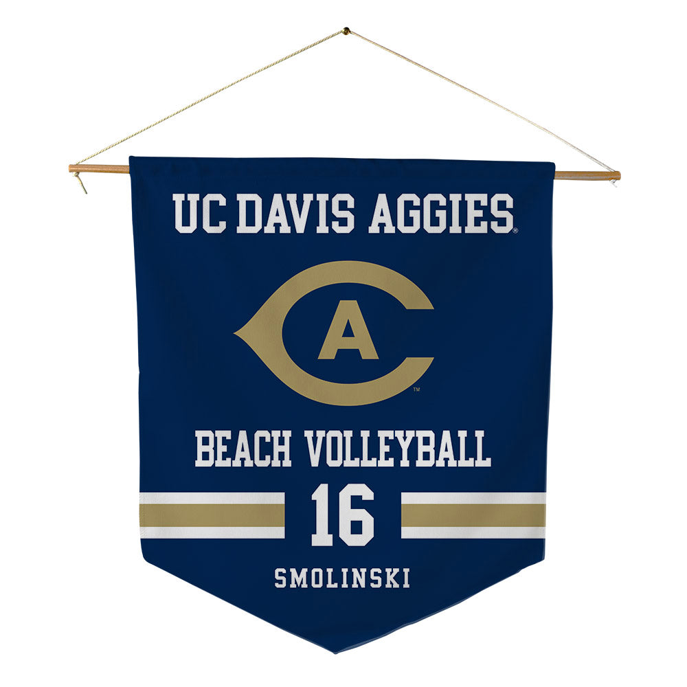 UC Davis - NCAA Beach Volleyball : Skye Smolinski - Pennant - 18" x 21"-0