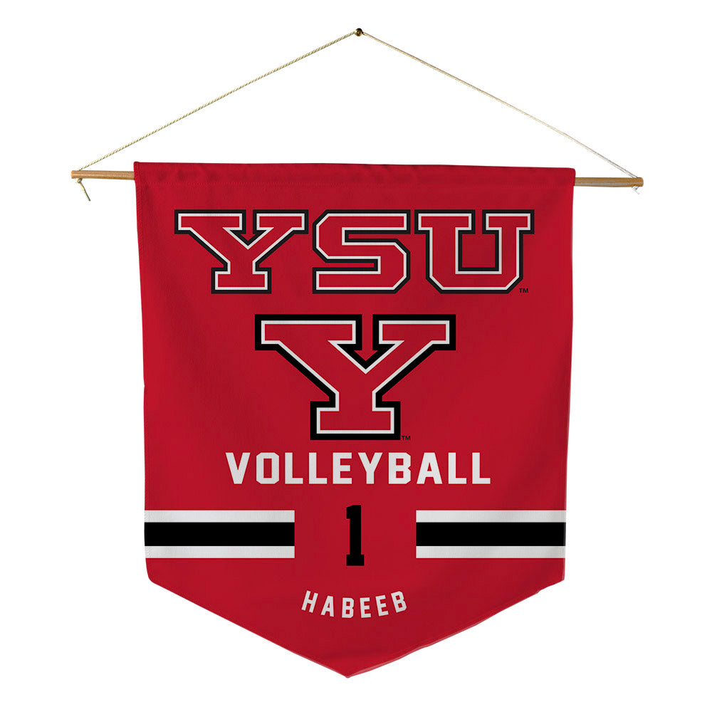 Youngstown State - NCAA Women's Volleyball : Brie Habeeb - Pennant - 18" x 21"-0