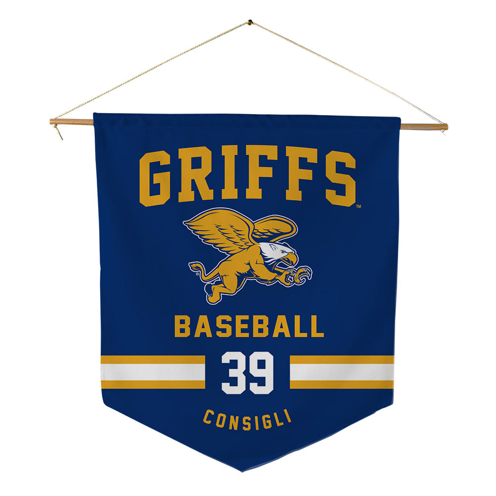 Canisius - NCAA Baseball : Peyton Consigli - Pennant - 18" x 21"-0