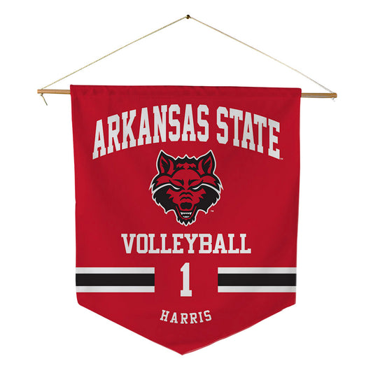Arkansas State - NCAA Women's Volleyball : Abby Harris - Pennant - 18" x 21"-0