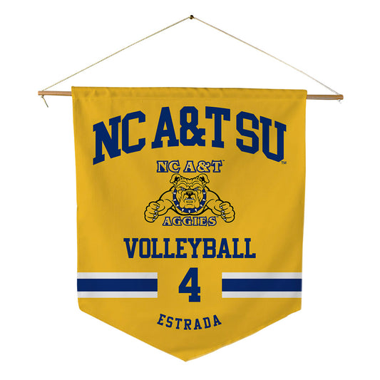 North Carolina A&T - NCAA Women's Volleyball : Valeria Estrada - Pennant - 18" x 21"-0