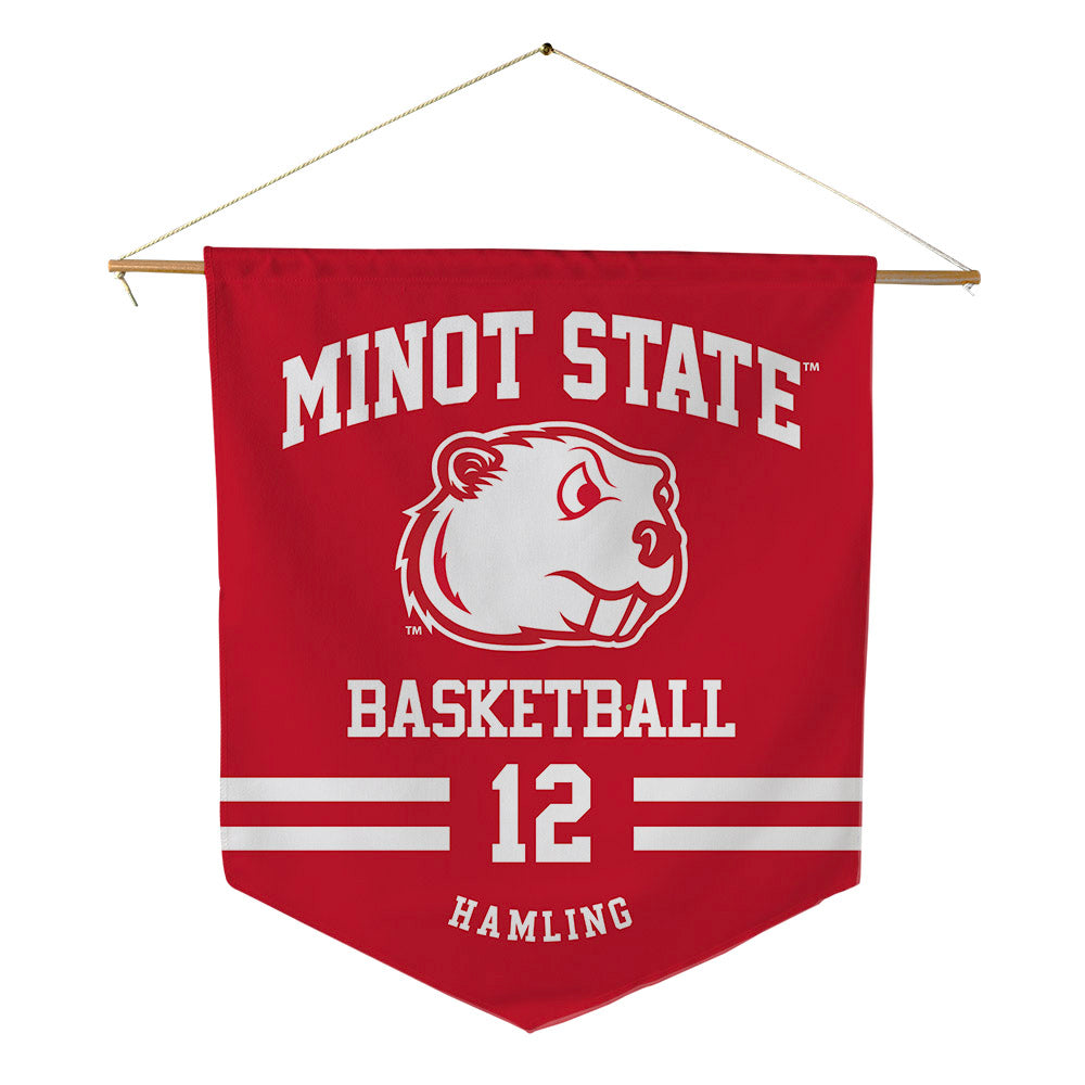 Minot State - NCAA Women's Basketball : Taryn Hamling - Pennant - 18" x 21"-0