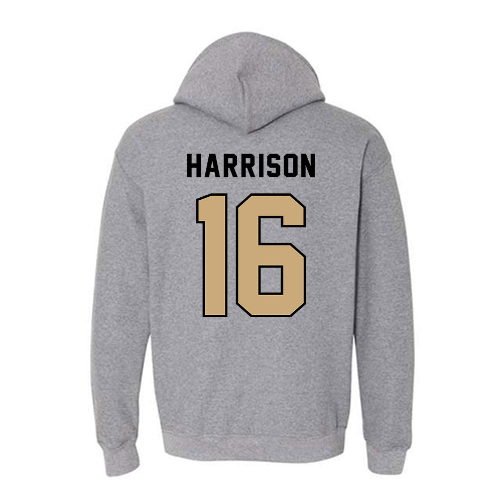 Anderson - NCAA Baseball : Braeden Harrison - Classic Shersey Hooded Sweatshirt-1