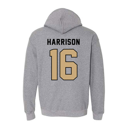 Anderson - NCAA Baseball : Braeden Harrison - Classic Shersey Hooded Sweatshirt-1