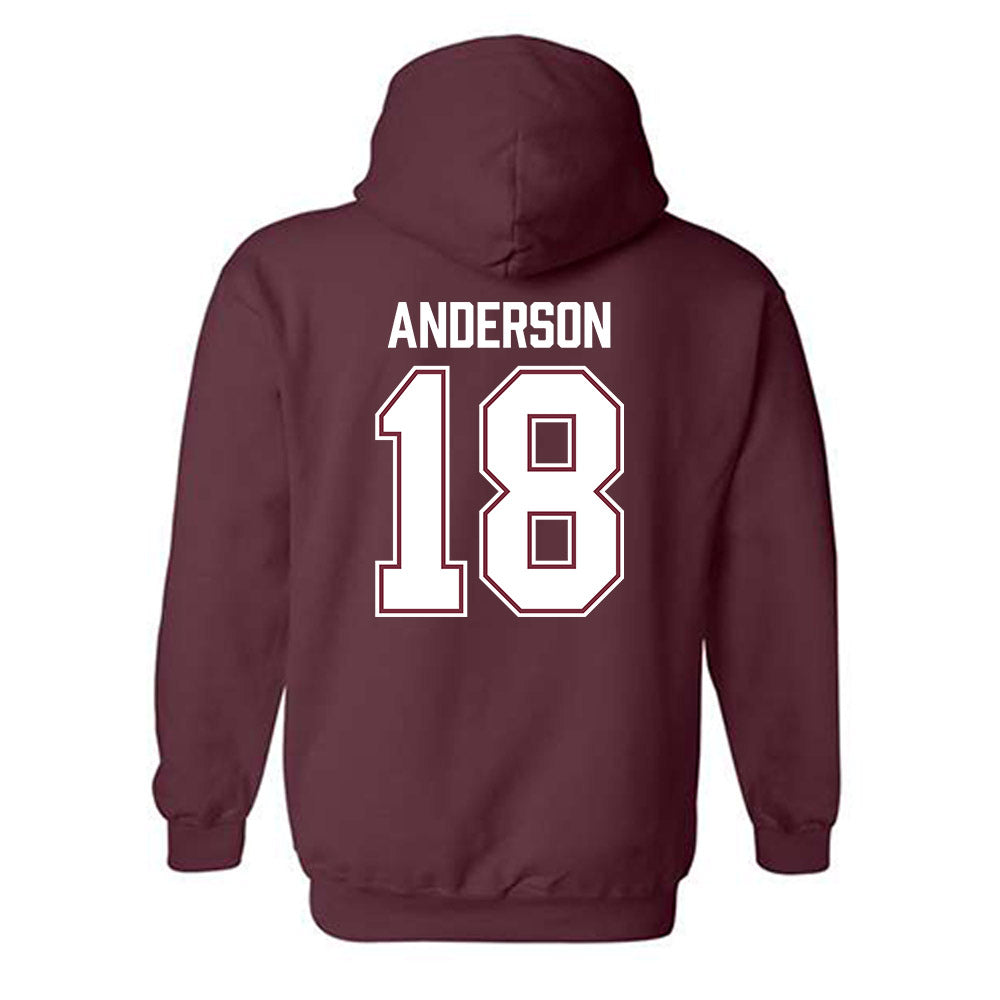 Bellarmine - NCAA Baseball : Bryce Anderson - Classic Shersey Hooded Sweatshirt-2