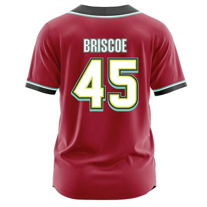Arkansas - NCAA Baseball : Tye Briscoe - Jersey-1
