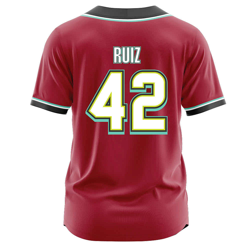 Arkansas - NCAA Baseball : Damian Ruiz - Jersey-1