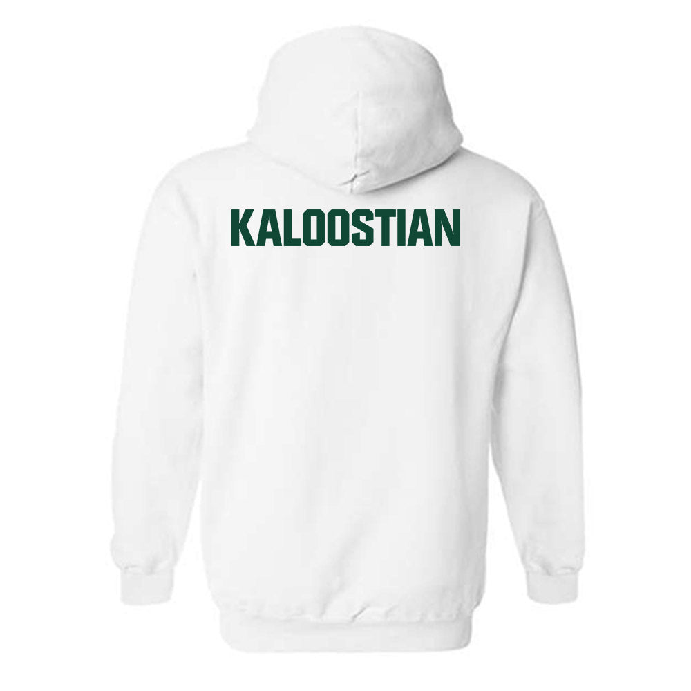 Baylor - NCAA Acrobatics & Tumbling : Aliyah Kaloostian - Hooded Sweatshirt-1