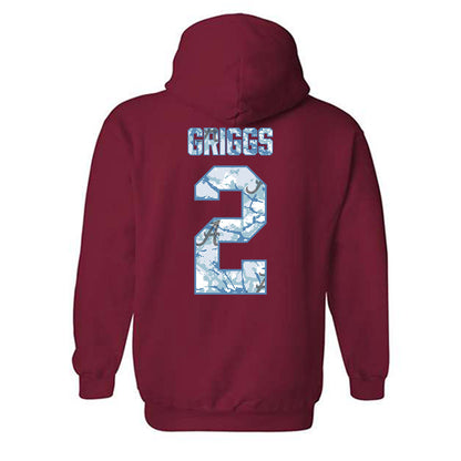 Alabama - NCAA Softball : Gerritt Griggs - Hydrobama™ Hooded Sweatshirt-1