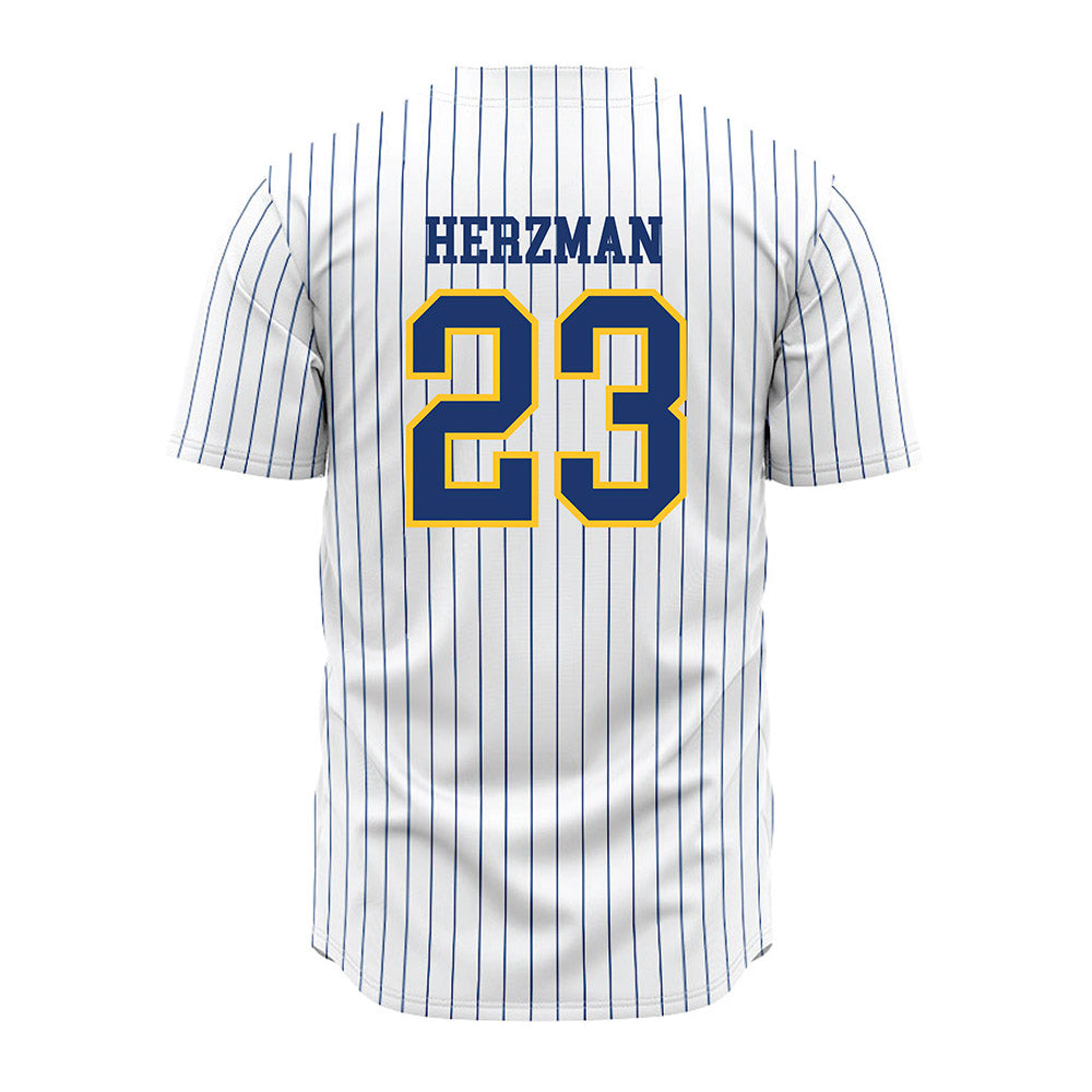 New Haven - NCAA Baseball : Robert Herzman - Pinstripe Jersey-1