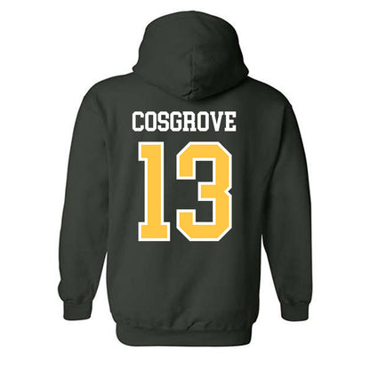 Wayne State - NCAA Softball : Addison Cosgrove - Classic Shersey Hooded Sweatshirt-1