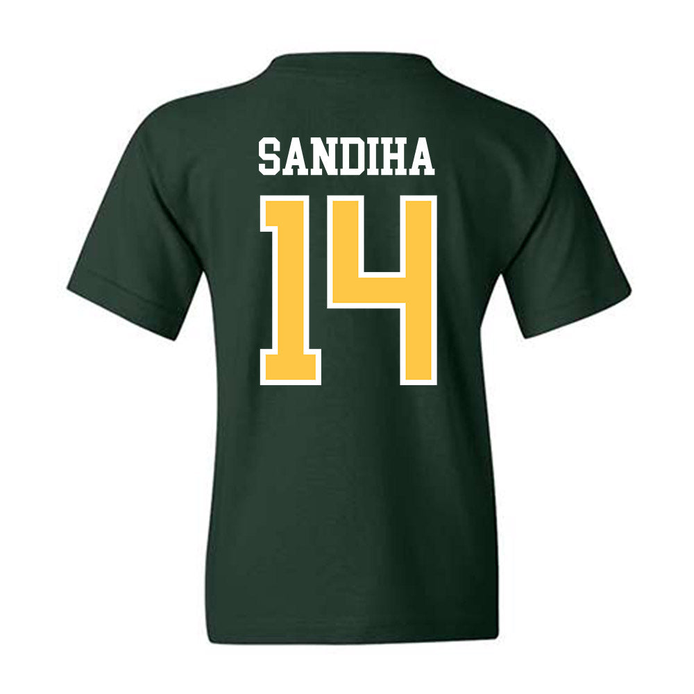 Wayne State - NCAA Baseball : Nick Sandiha - Classic Shersey Youth T-Shirt-1