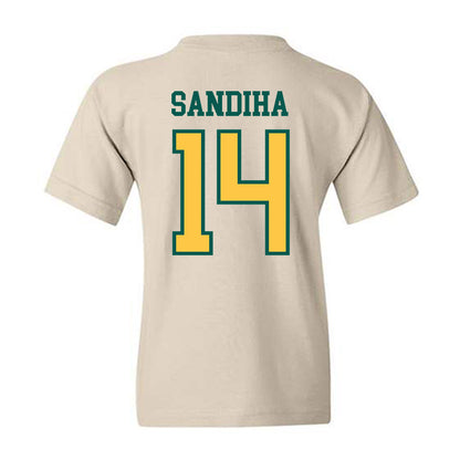 Wayne State - NCAA Baseball : Nick Sandiha - Classic Shersey Youth T-Shirt-1