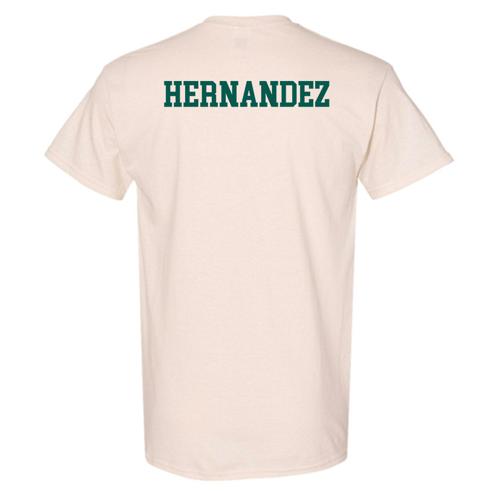 Wayne State - NCAA Men's Swimming & Diving : Matthew Hernandez - Classic Shersey T-Shirt-1