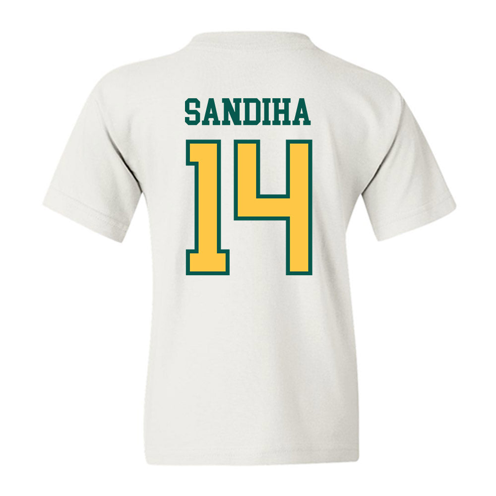 Wayne State - NCAA Baseball : Nick Sandiha - Classic Shersey Youth T-Shirt-1