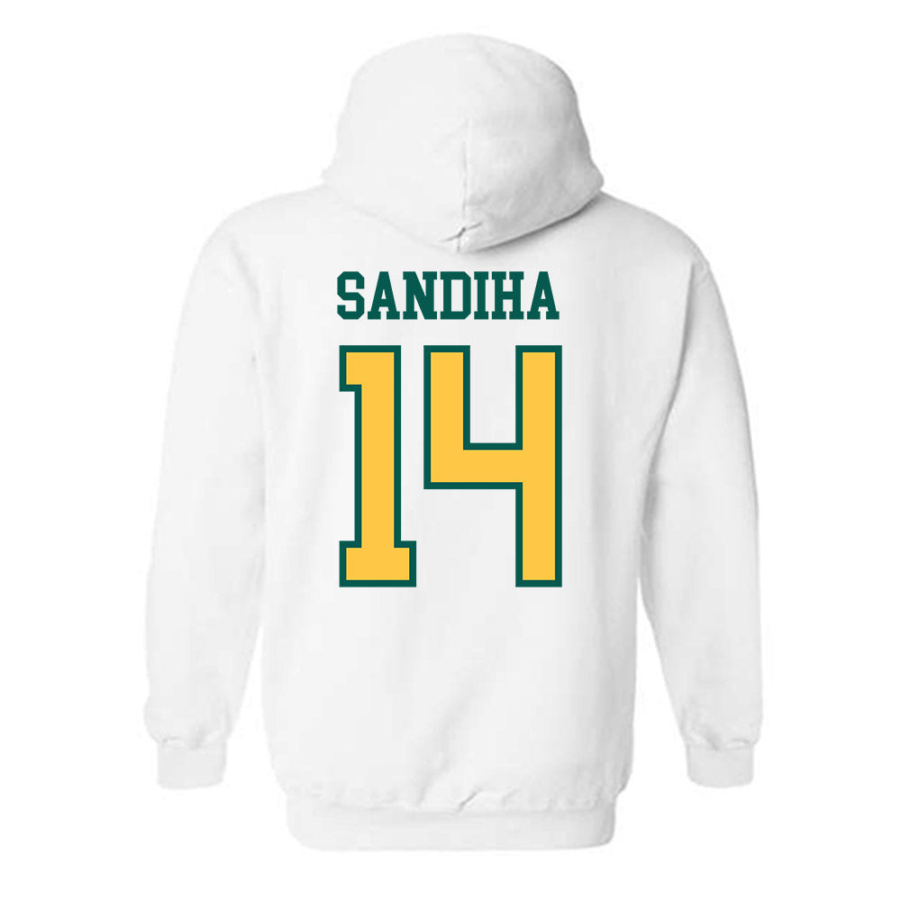 Wayne State - NCAA Baseball : Nick Sandiha - Classic Shersey Hooded Sweatshirt-1