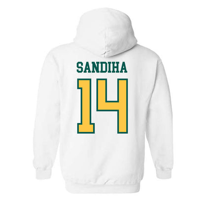 Wayne State - NCAA Baseball : Nick Sandiha - Classic Shersey Hooded Sweatshirt-1