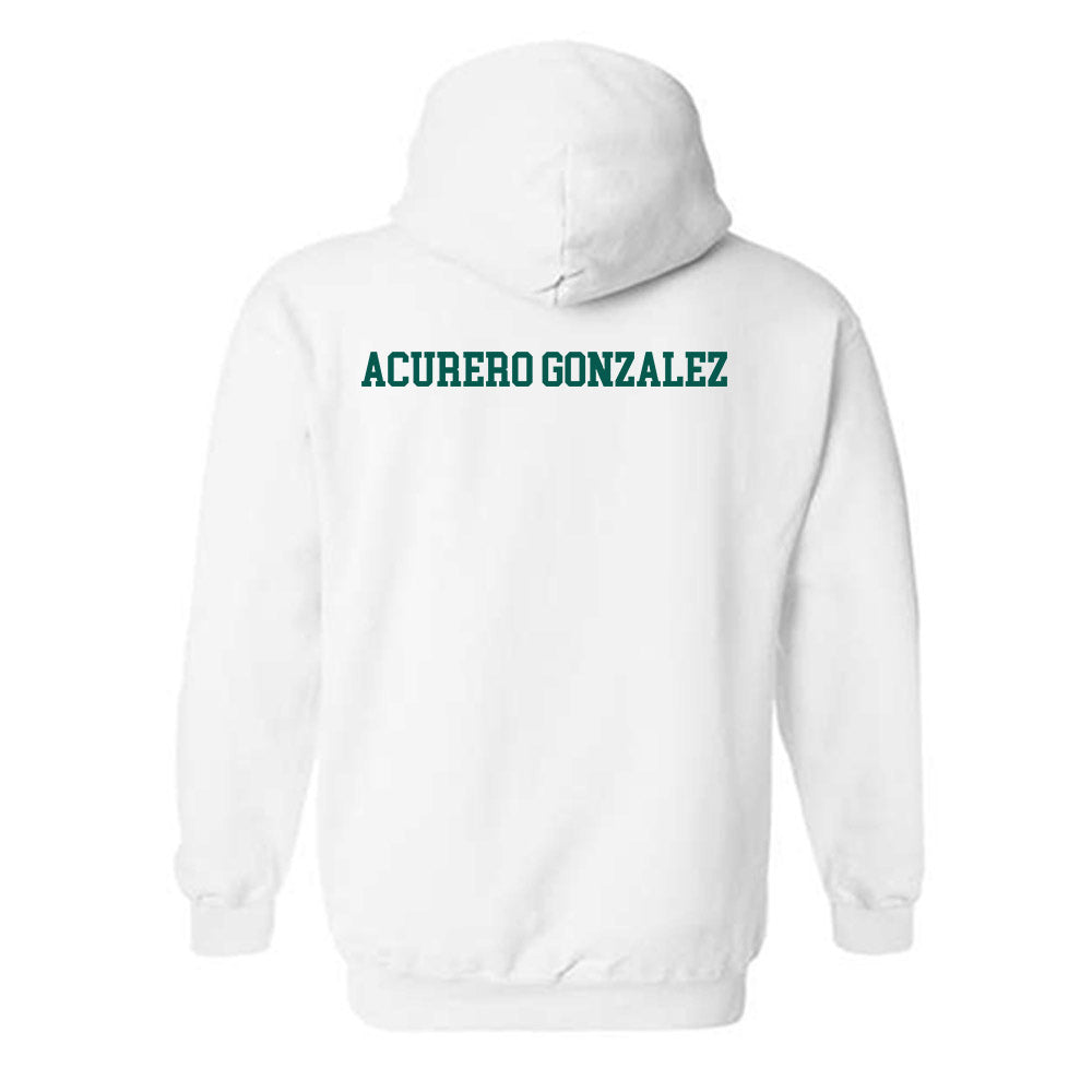 Wayne State - NCAA Women's Fencing : Anabella Acurero Gonzalez - Classic Shersey Hooded Sweatshirt-1