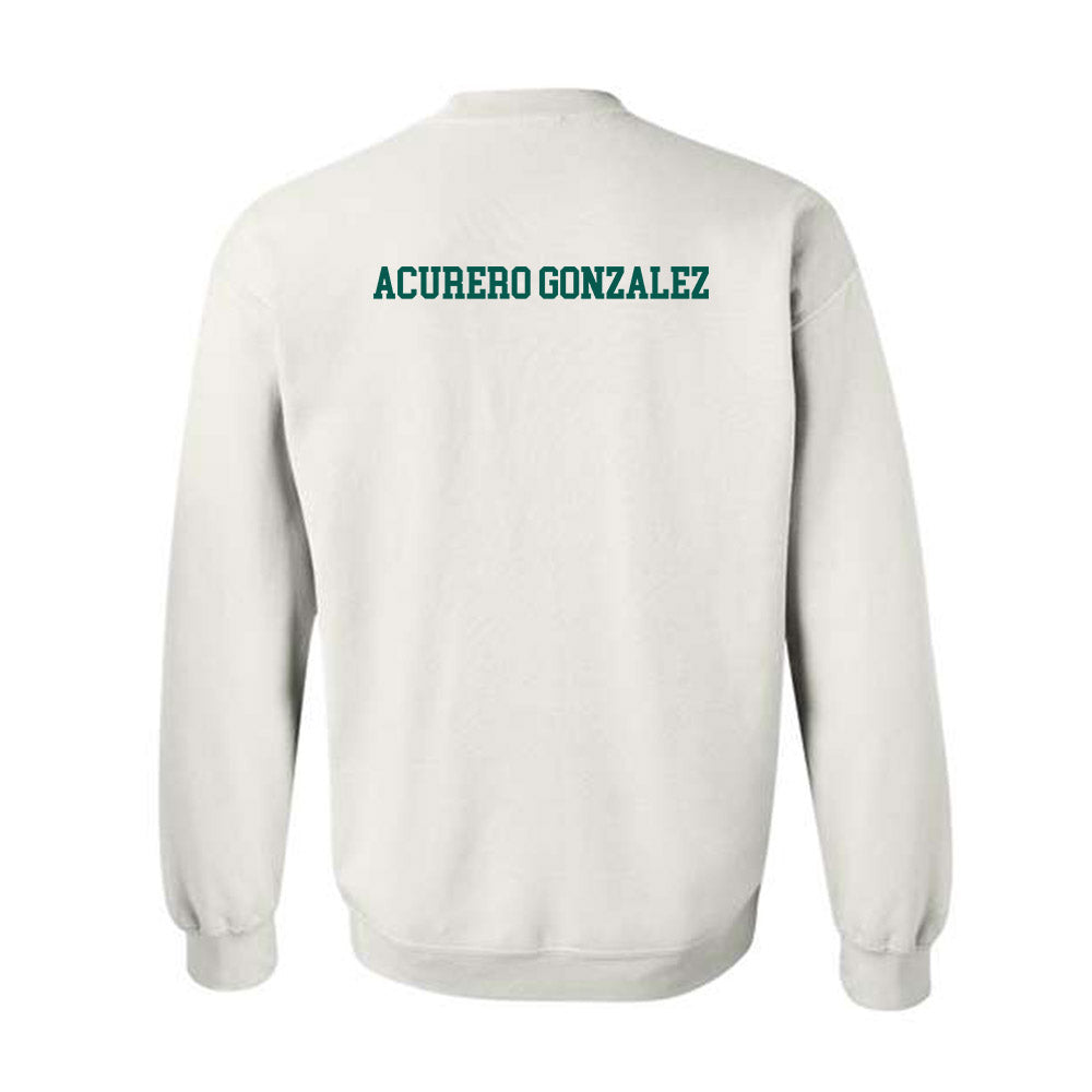 Wayne State - NCAA Women's Fencing : Anabella Acurero Gonzalez - Classic Shersey Crewneck Sweatshirt-1