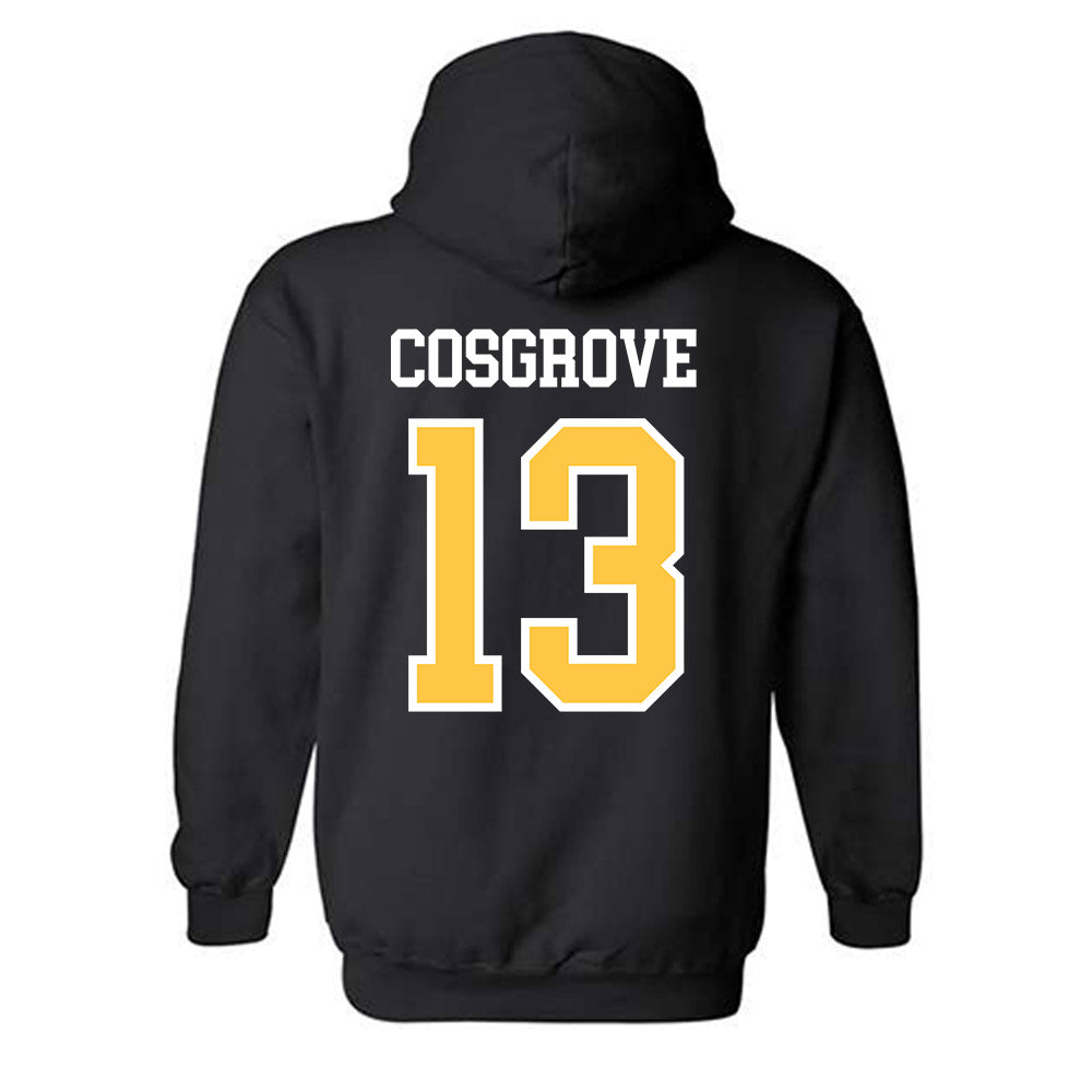 Wayne State - NCAA Softball : Addison Cosgrove - Classic Shersey Hooded Sweatshirt-1