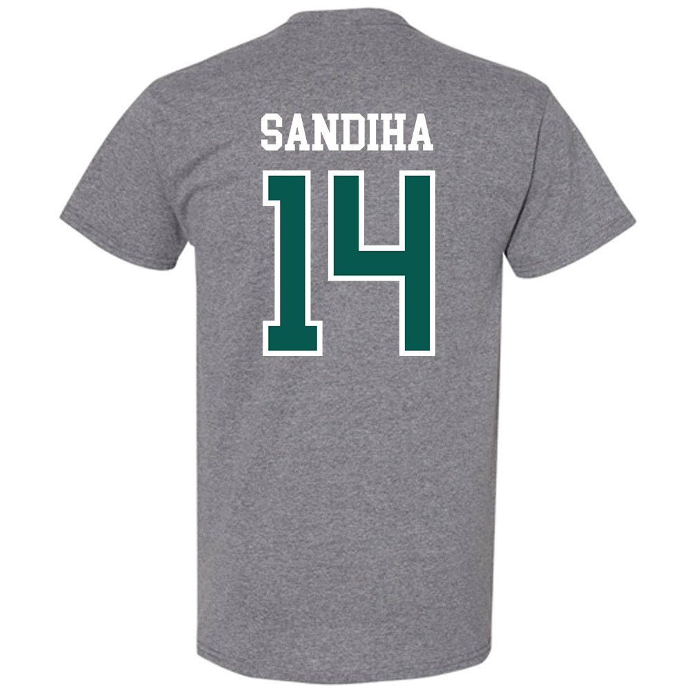 Wayne State - NCAA Baseball : Nick Sandiha - Classic Shersey T-Shirt-1
