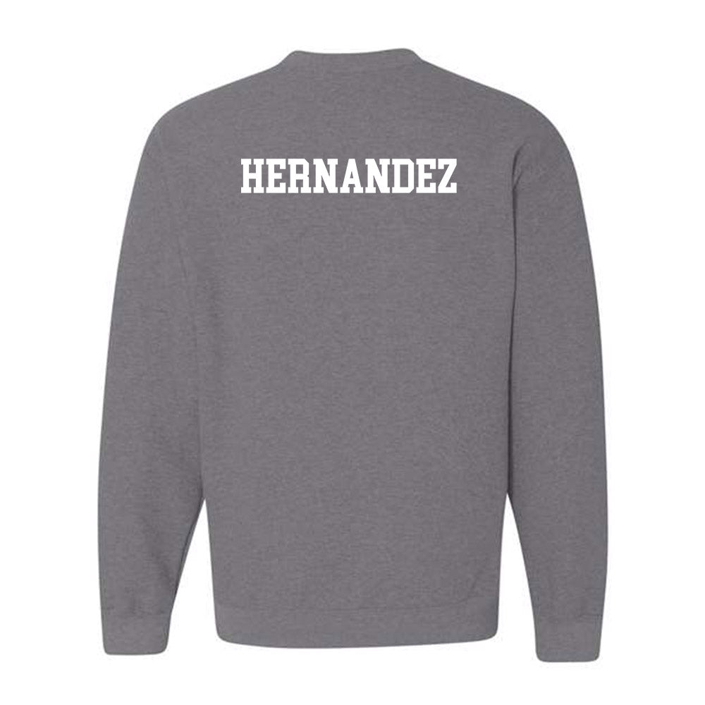 Wayne State - NCAA Men's Swimming & Diving : Matthew Hernandez - Classic Shersey Crewneck Sweatshirt-1