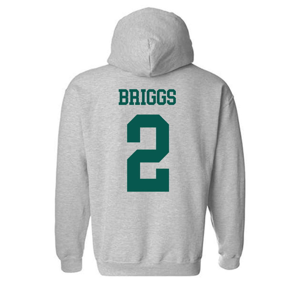 Wayne State - NCAA Men's Basketball : Jordan Briggs - Classic Shersey Hooded Sweatshirt-1