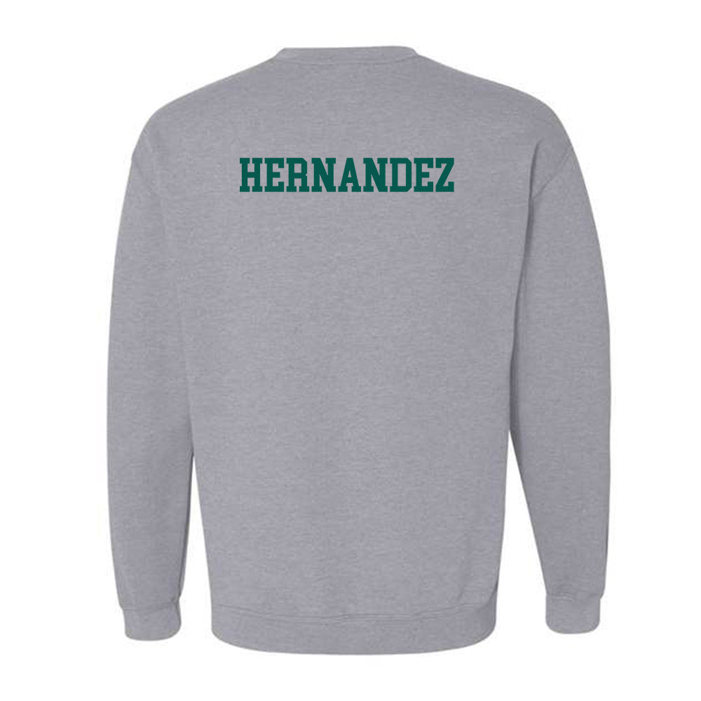 Wayne State - NCAA Men's Swimming & Diving : Matthew Hernandez - Classic Shersey Crewneck Sweatshirt-1
