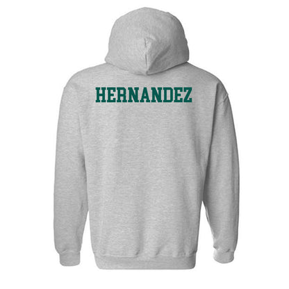 Wayne State - NCAA Men's Swimming & Diving : Matthew Hernandez - Classic Shersey Hooded Sweatshirt-1