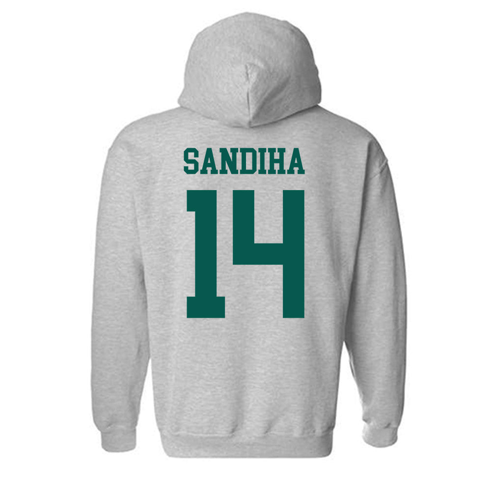 Wayne State - NCAA Baseball : Nick Sandiha - Classic Shersey Hooded Sweatshirt-1