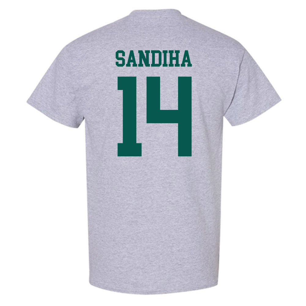 Wayne State - NCAA Baseball : Nick Sandiha - Classic Shersey T-Shirt-1