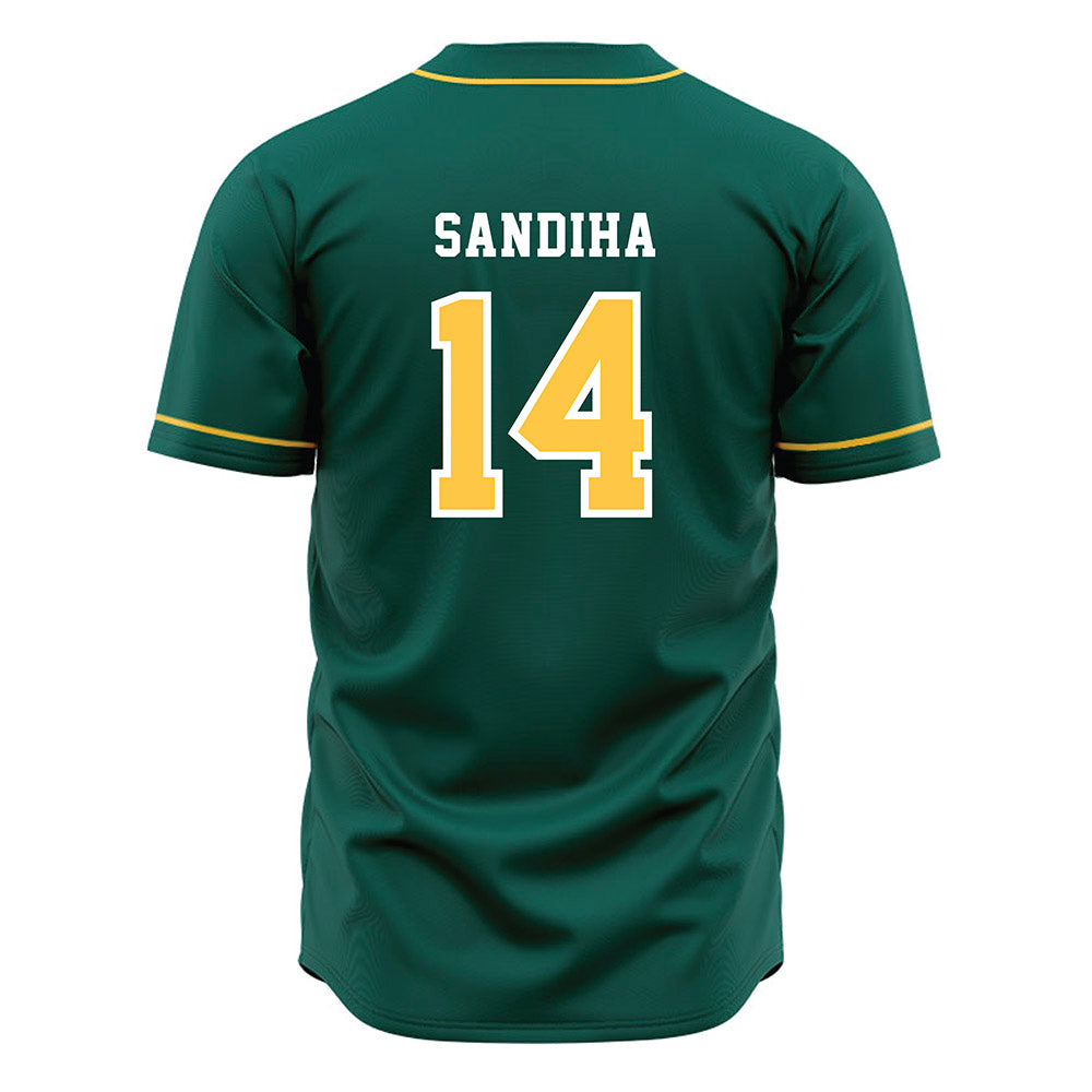 Wayne State - NCAA Baseball : Nick Sandiha - Green Jersey-1