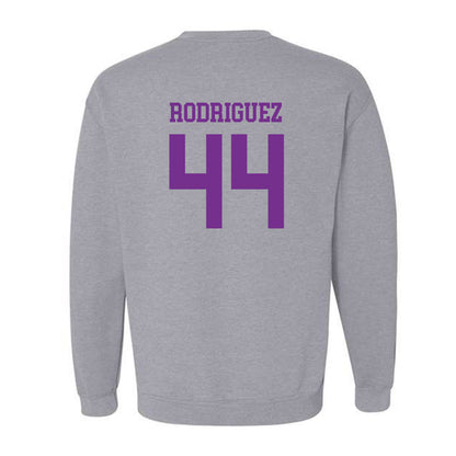 Mount Union - NCAA Men's Basketball : Darius Rodriguez - Classic Shersey Crewneck Sweatshirt-1