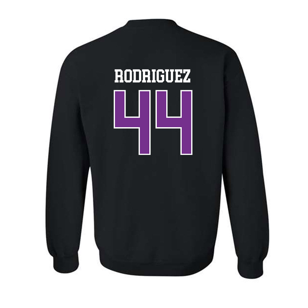 Mount Union - NCAA Men's Basketball : Darius Rodriguez - Classic Shersey Crewneck Sweatshirt-1