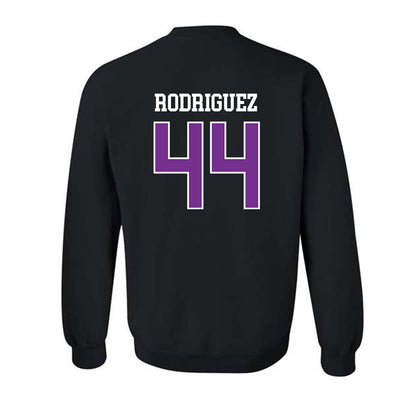 Mount Union - NCAA Men's Basketball : Darius Rodriguez - Classic Shersey Crewneck Sweatshirt-1