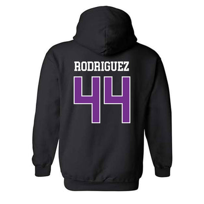 Mount Union - NCAA Men's Basketball : Darius Rodriguez - Classic Shersey Hooded Sweatshirt-1